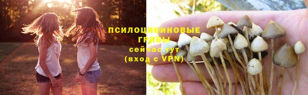 spice Алексеевка