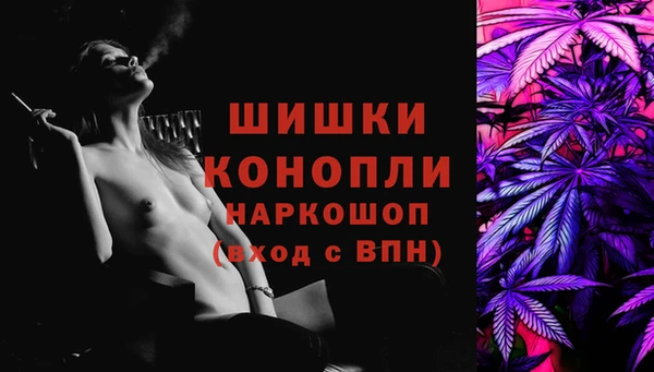 ешки Алзамай