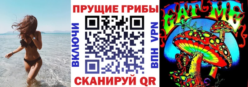 Купить где  Феодосия  Галлюциногенные грибы Cubensis 